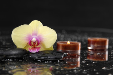 Macro of orchid with two candle and therapy stones