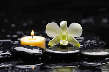Fototapeta na wymiar Beautiful orchid with candle and therapy stones