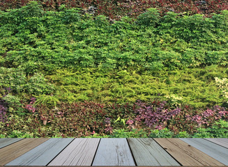 flower and plant wall vertical garden