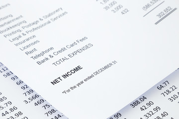 Net income statement reports
