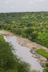 Fototapeta na wymiar Rivière tanzanienne