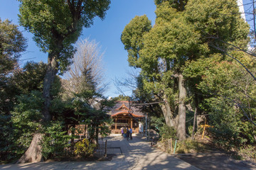 Fototapeta na wymiar 渋谷氷川神社