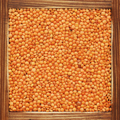 Lentil, collection of products