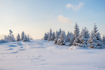 Krajobraz zimowy - obrazy, fototapety, plakaty