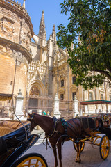Naklejka na ściany i meble Carriage with horse next to the famous Giralda in Seville, Spain