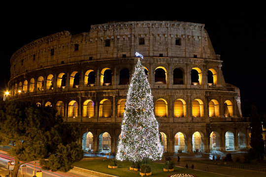Fototapeta Coliseum and Christmas Tree in Rome, Italy