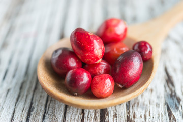 Cranberry