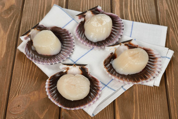 Raw scallops