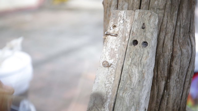 Closeup of Carpenter use equipment to repare the furniture