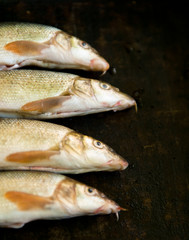 Raw fish