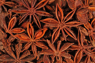 Star anise close up