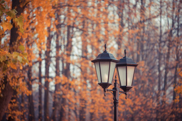 Fototapeta na wymiar Lantern at autumn time, Kaliningrad