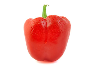 Close up of red pepper on white background.