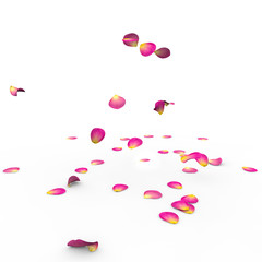 Rose petals fall to the floor