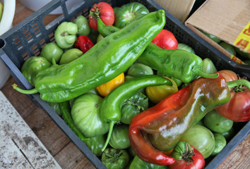 tomatoes and peppers