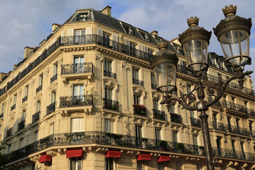 Fototapeta na wymiar Architektur in Paris auf der Seine Insel