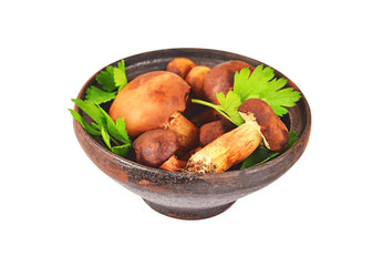 Boletus edulis mushroom in vintage clay bowl, isolated on white