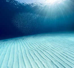 Blue sea