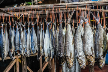 Hanging fish drying naturally on the sun - Malaysia