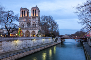 Obraz premium Notre Dame de Paris at dusk, France.