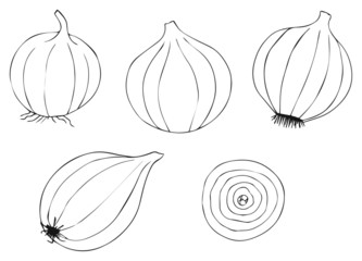 Delightful garden - onion