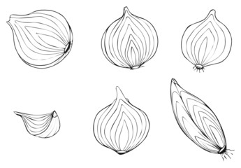 Delightful garden - sliced onion