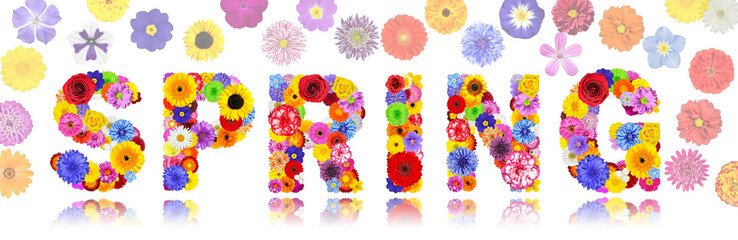 Word Spring Made of Colorful Flowers Isolated