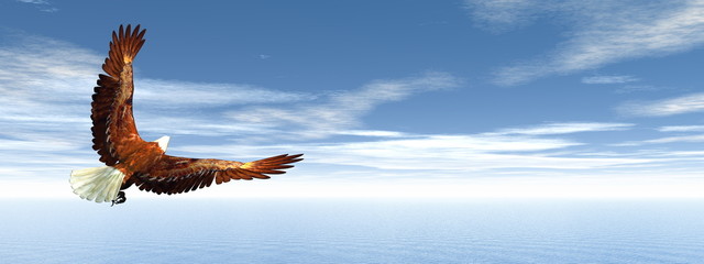 Obraz na płótnie Canvas Eagle flying - 3D render