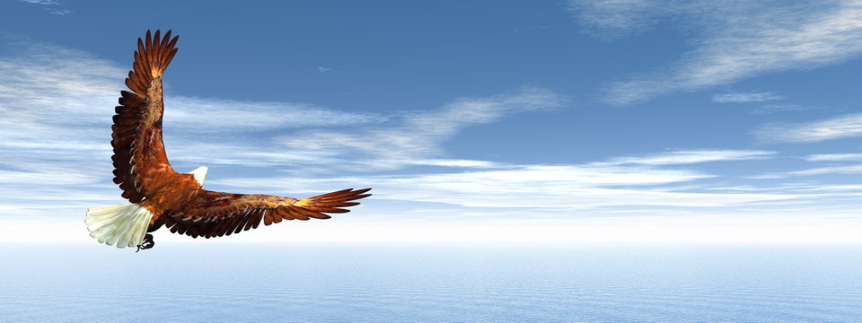 Eagle flying - 3D render