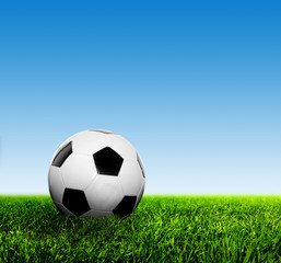 Fototapeta premium Ball on grass against blue sky. Football, soccer.