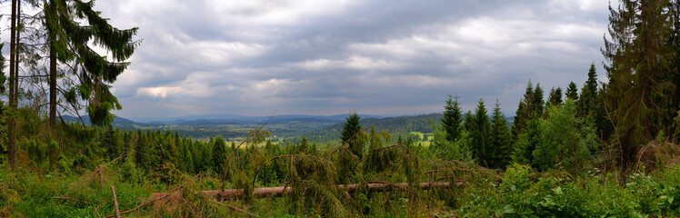 Zawoja - Przełęcz Krowiarki