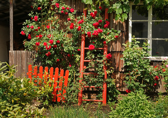 Fototapeta premium Bauerngarten