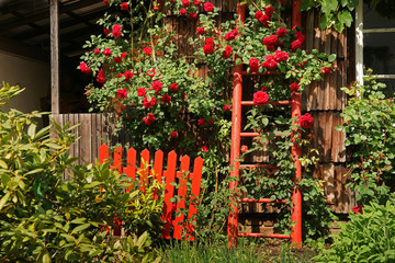 Fototapeta premium Bauerngarten
