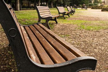 Panchine a Villa Borghese in autunno - Roma