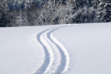 Spur im Schnee