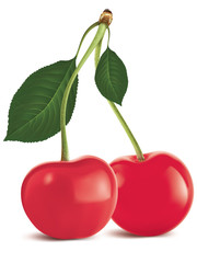 Cherry with green leaf isolated. Vector illustration
