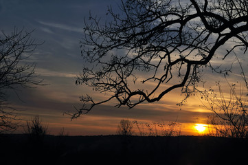 sunset in the village