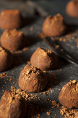 Fancy Dark Chocolate Truffles