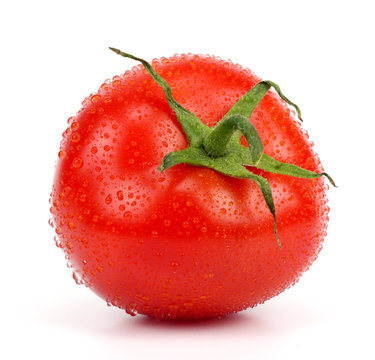 Red tomato with water drops isolated on white.