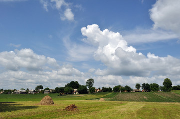 Obraz premium village landscape