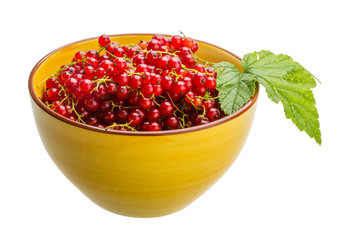 Red currant