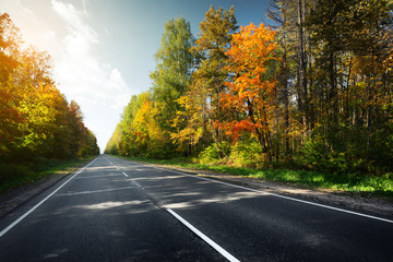 Fototapeta premium Autumn road