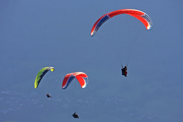 paragliders