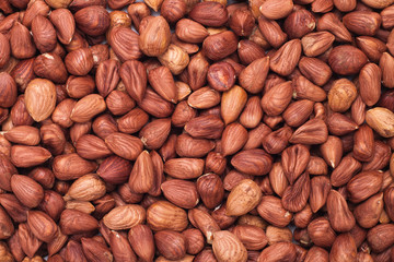 hazelnut background