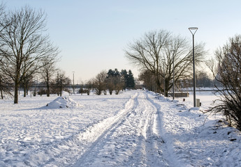Fototapeta na wymiar Winter road in park