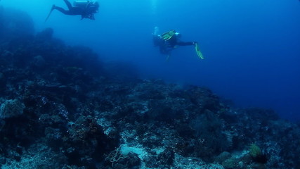 Group of divers flying over coral reef during drift dive in a st