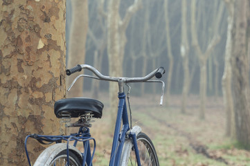Fototapeta na wymiar Vintage bicycle in the forest, surrounded by the morning fog