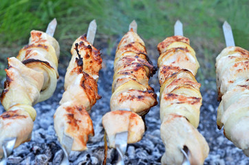 Shish kebab on skewers and hot coals, DOF