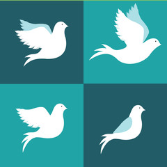Peace design, vector illustration.