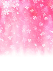 桜　花　背景